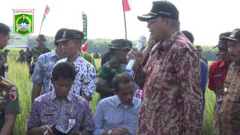 Menteri Pertanian Panen dan Tanam Padi IR 300 Kab. Malang